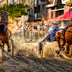 Harddraverij Stichting Prins Bernhard